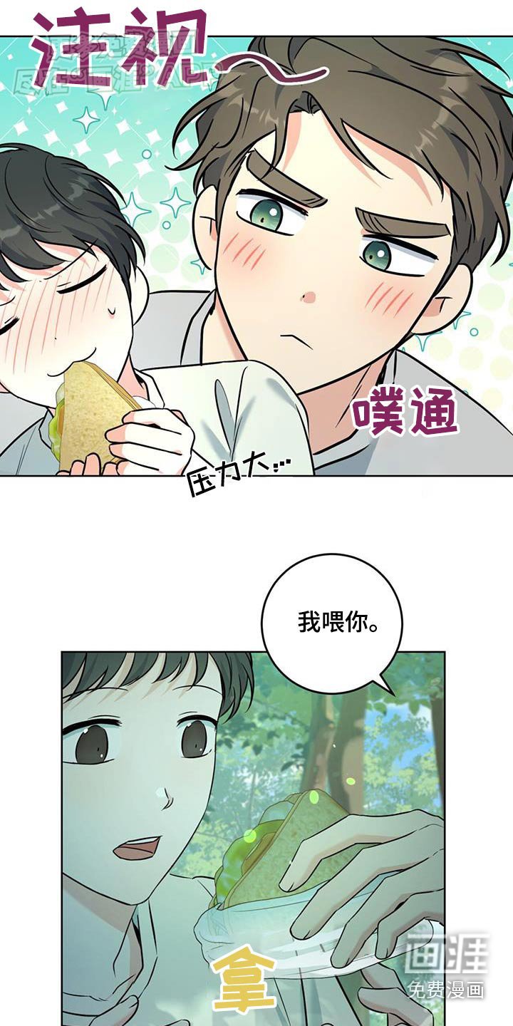 第47章：野餐