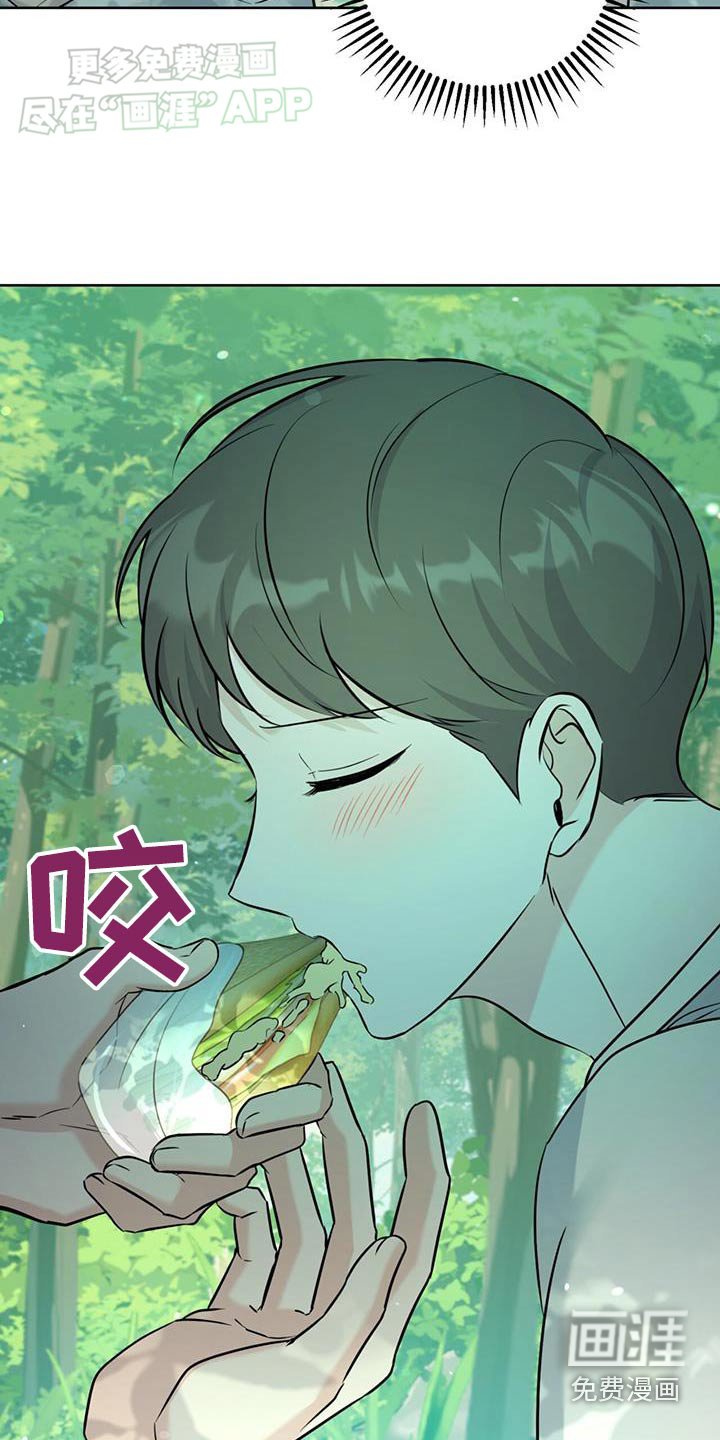 第47章：野餐