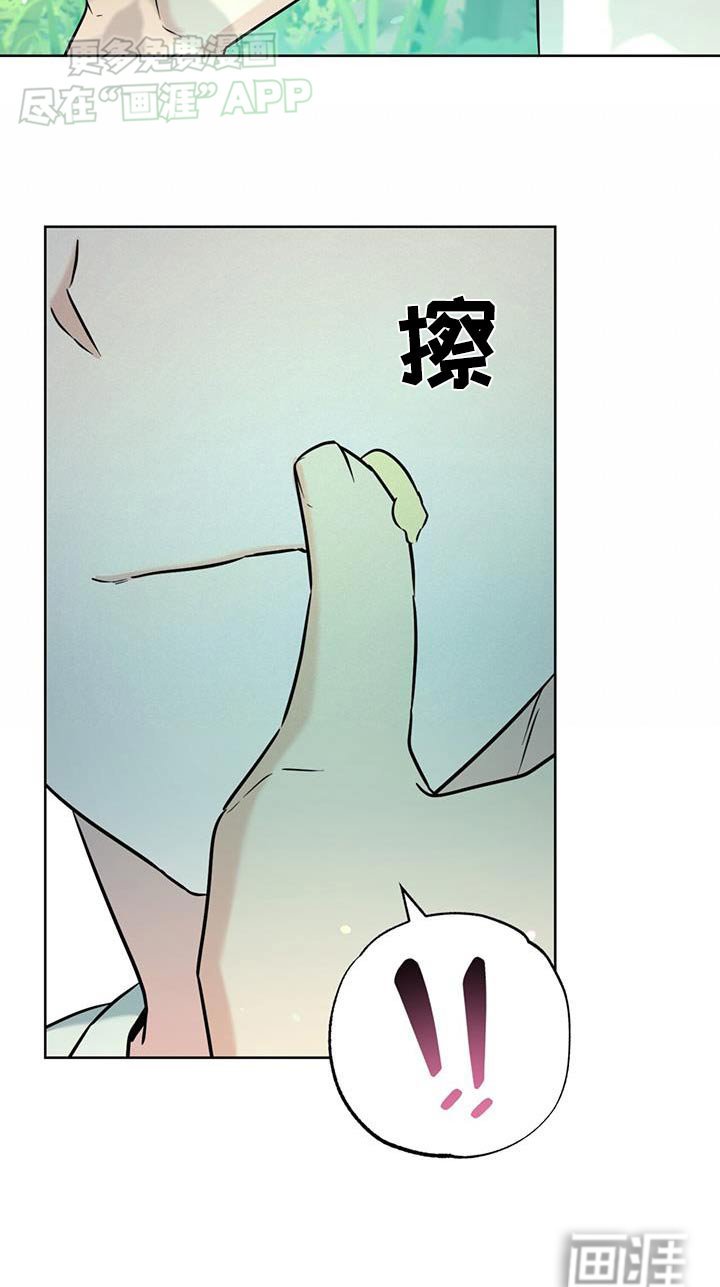 第47章：野餐