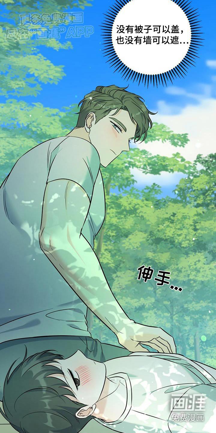 第47章：野餐