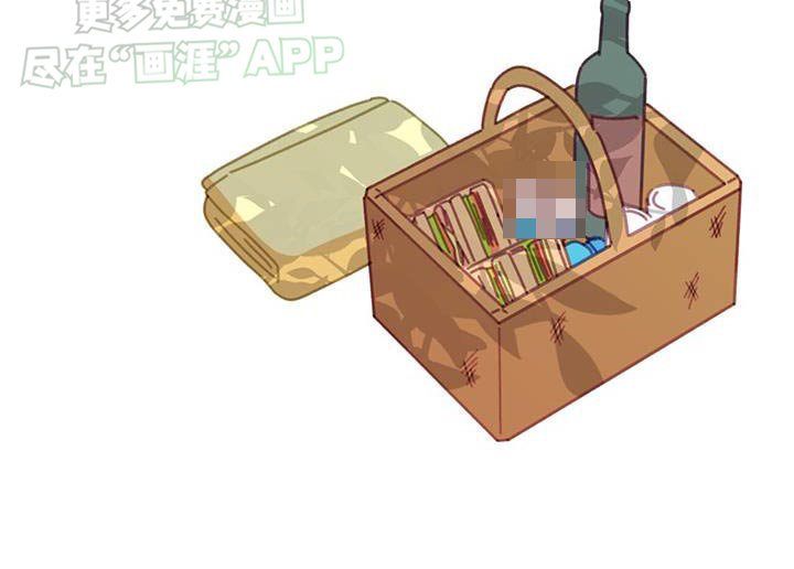 第47章：野餐