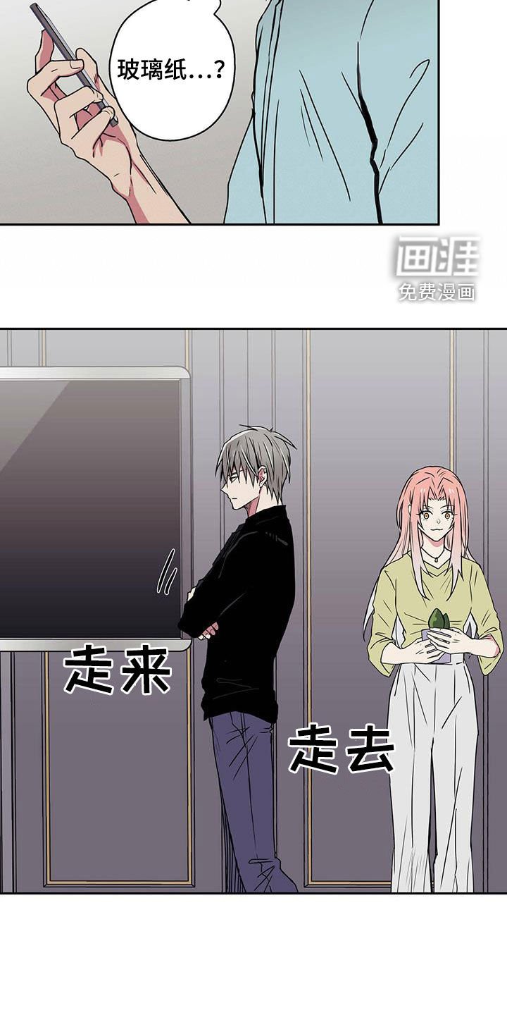 第15章：运势