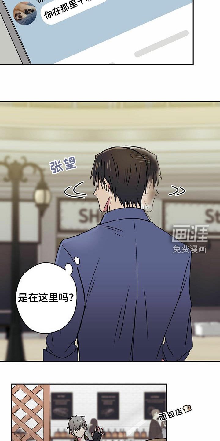 第17章：偶遇