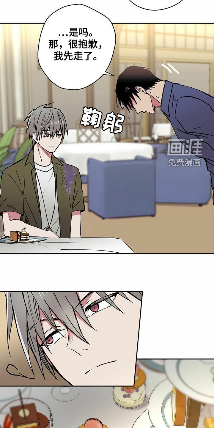 第19章：不要期待了