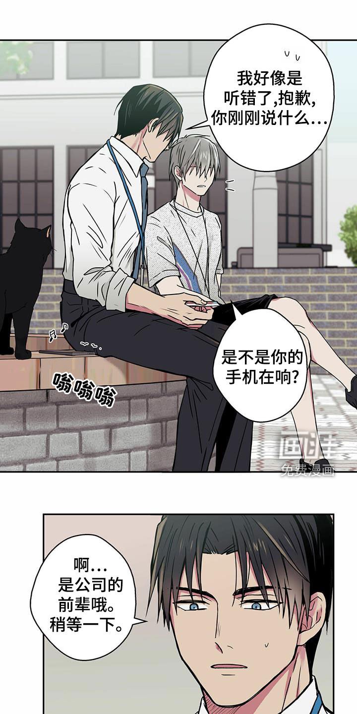 第22章：喂猫