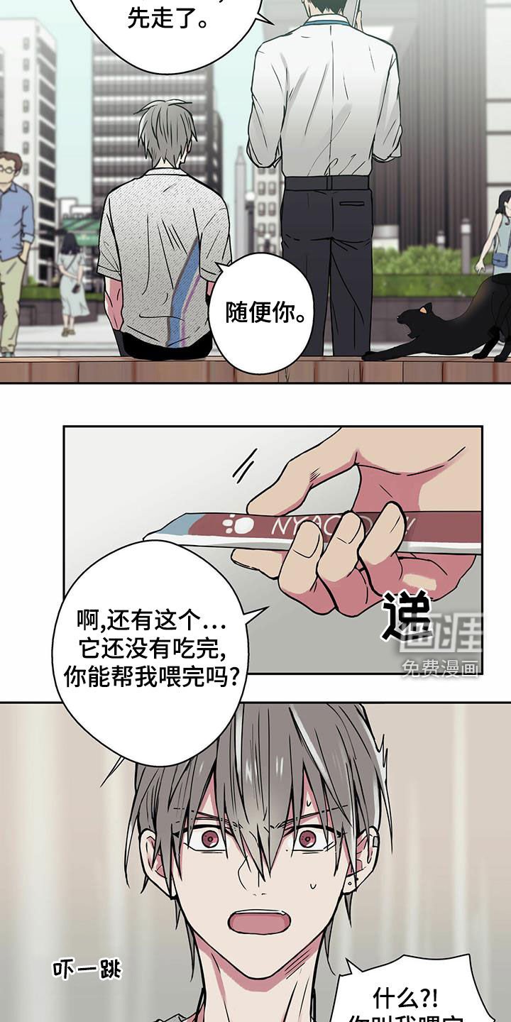 第22章：喂猫