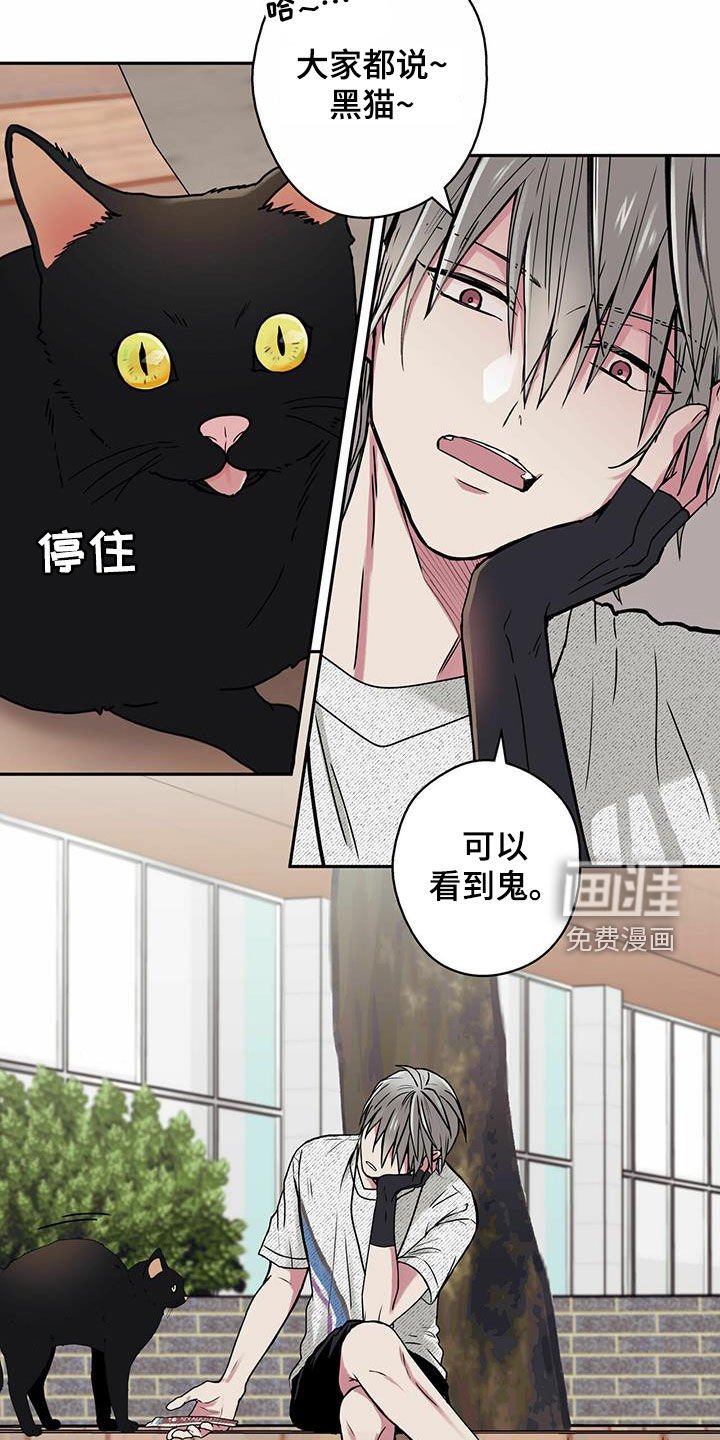 第22章：喂猫
