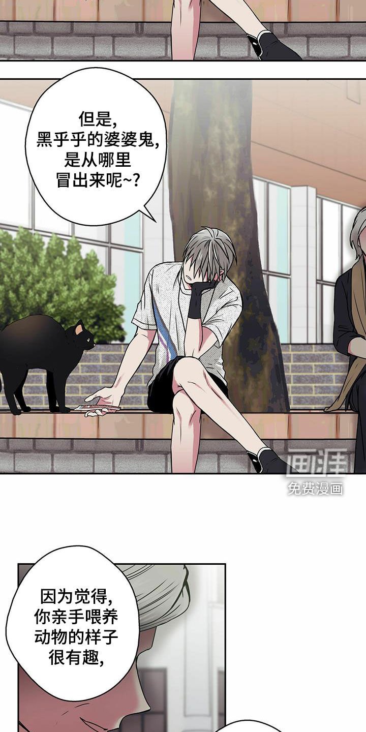 第22章：喂猫