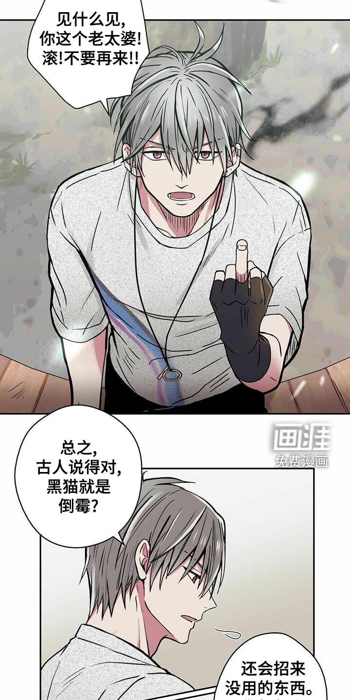 第22章：喂猫