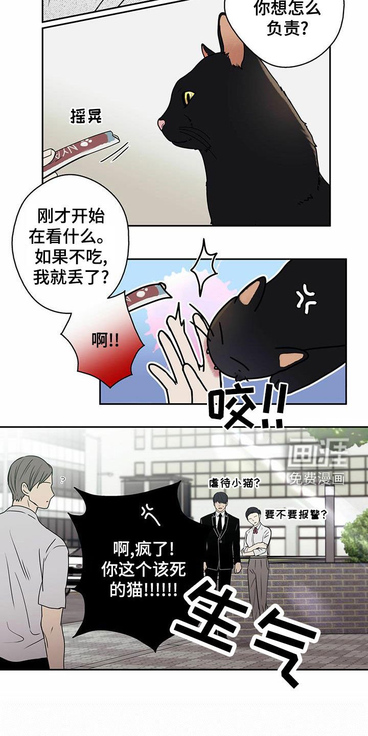 第22章：喂猫