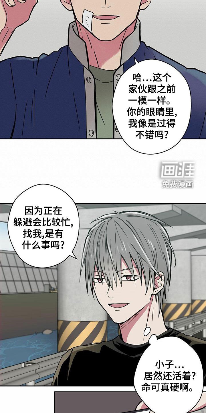 第25章：通缉犯