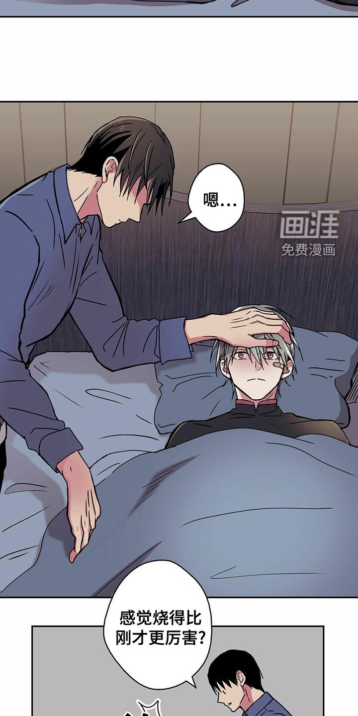 第27章：好奇
