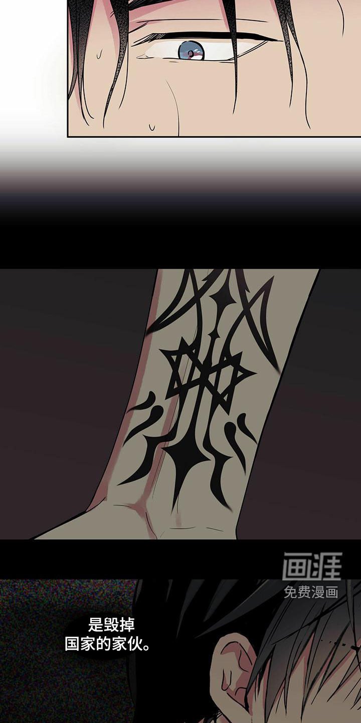 第31章：调查