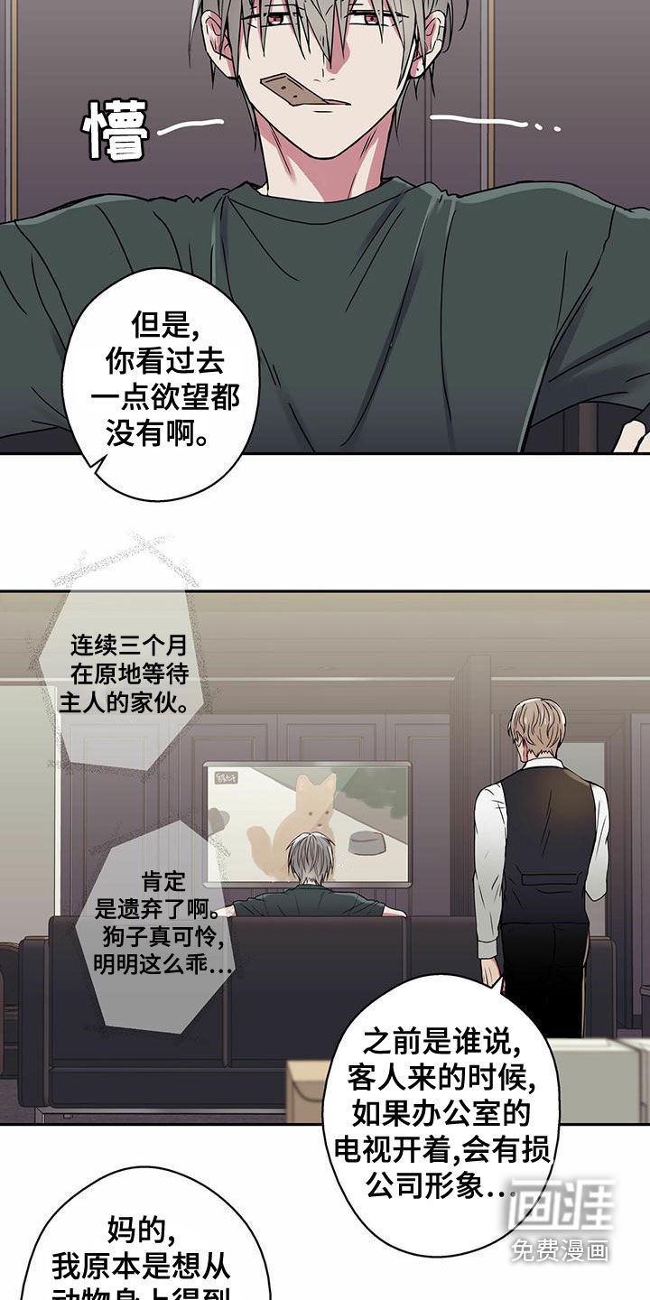 第31章：调查