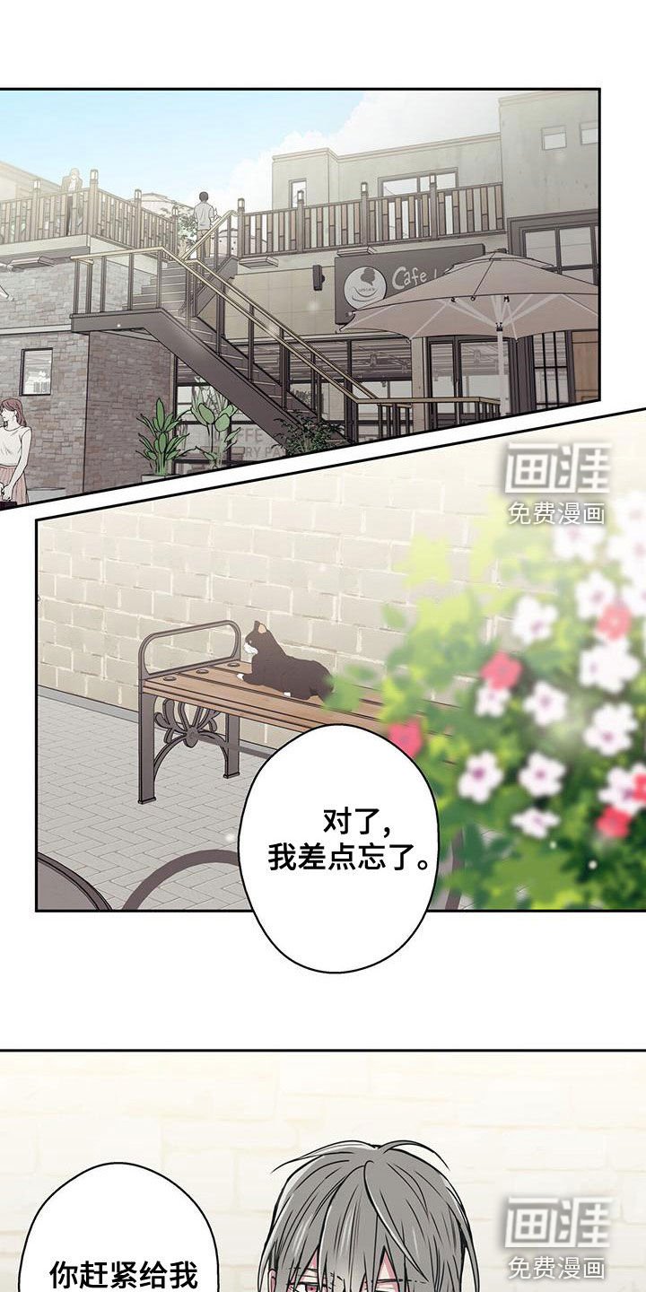 第34章：拍照