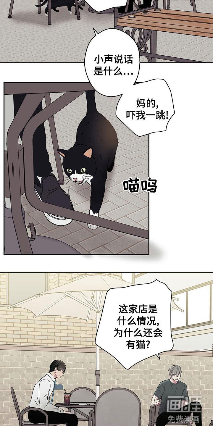 第34章：拍照