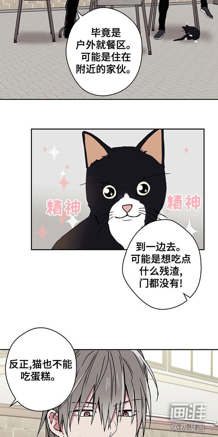 第34章：拍照