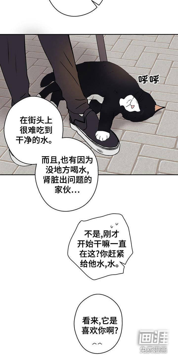 第34章：拍照