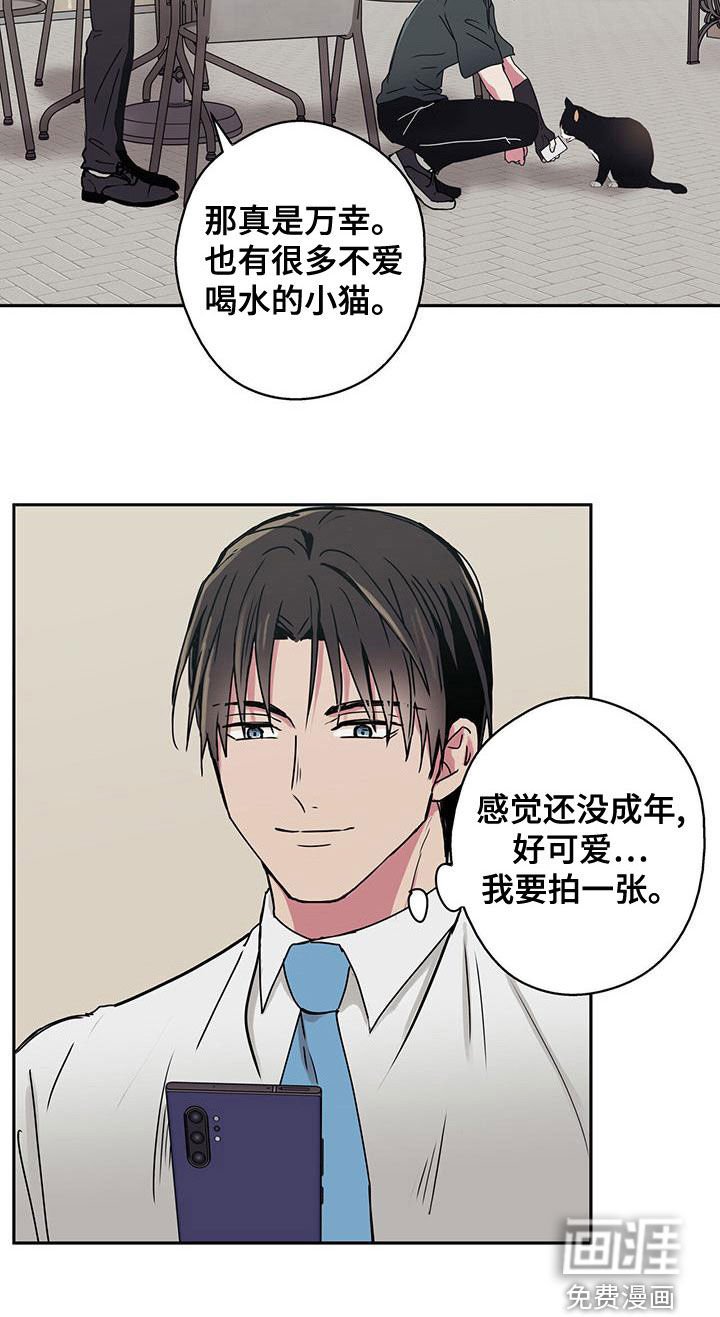 第34章：拍照