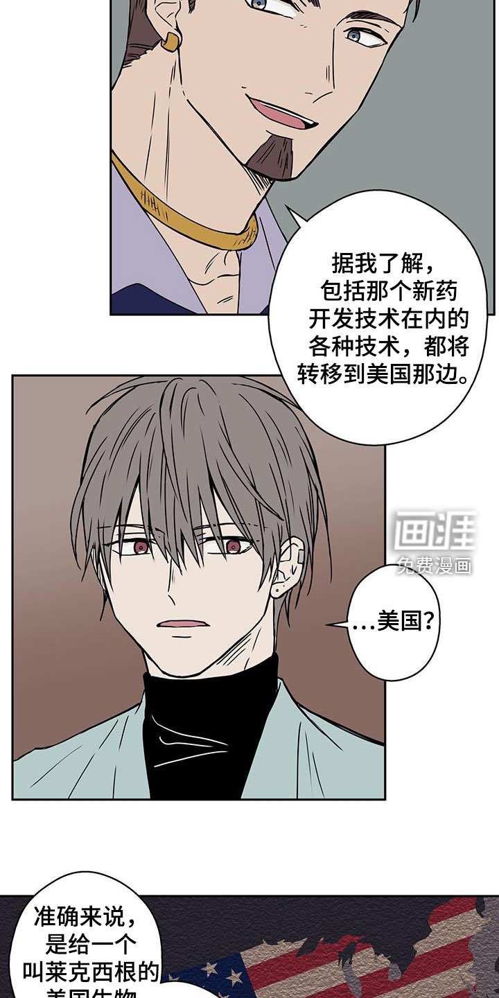 第43章：迷雾重重