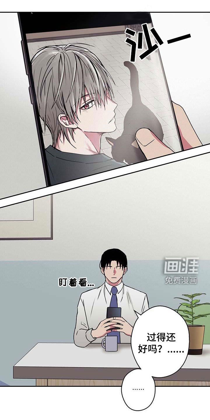 第45章：思念