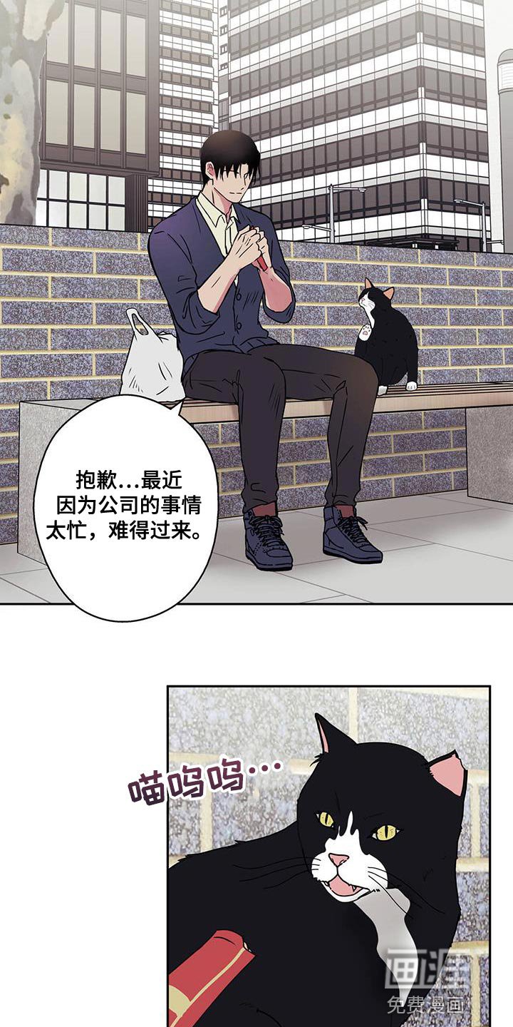 第58章：注意事项
