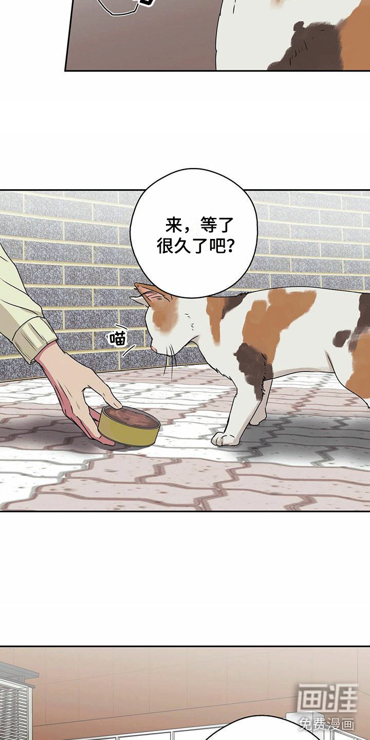 第7章：再次相遇