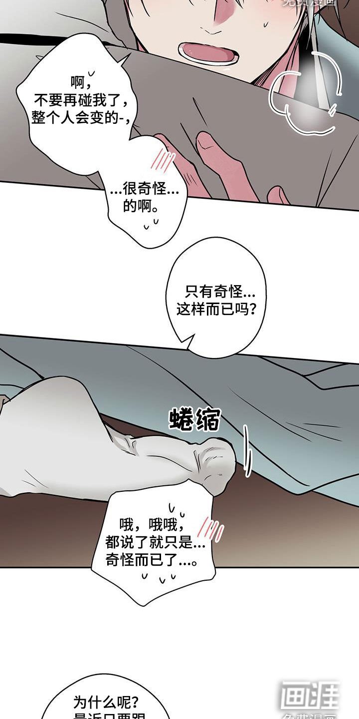 第90章：【第二季】非常喜欢你