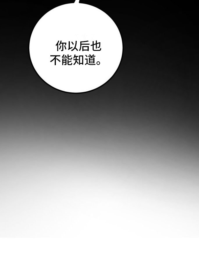 第3章：大型演唱会