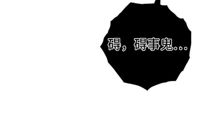 第7章：劫持