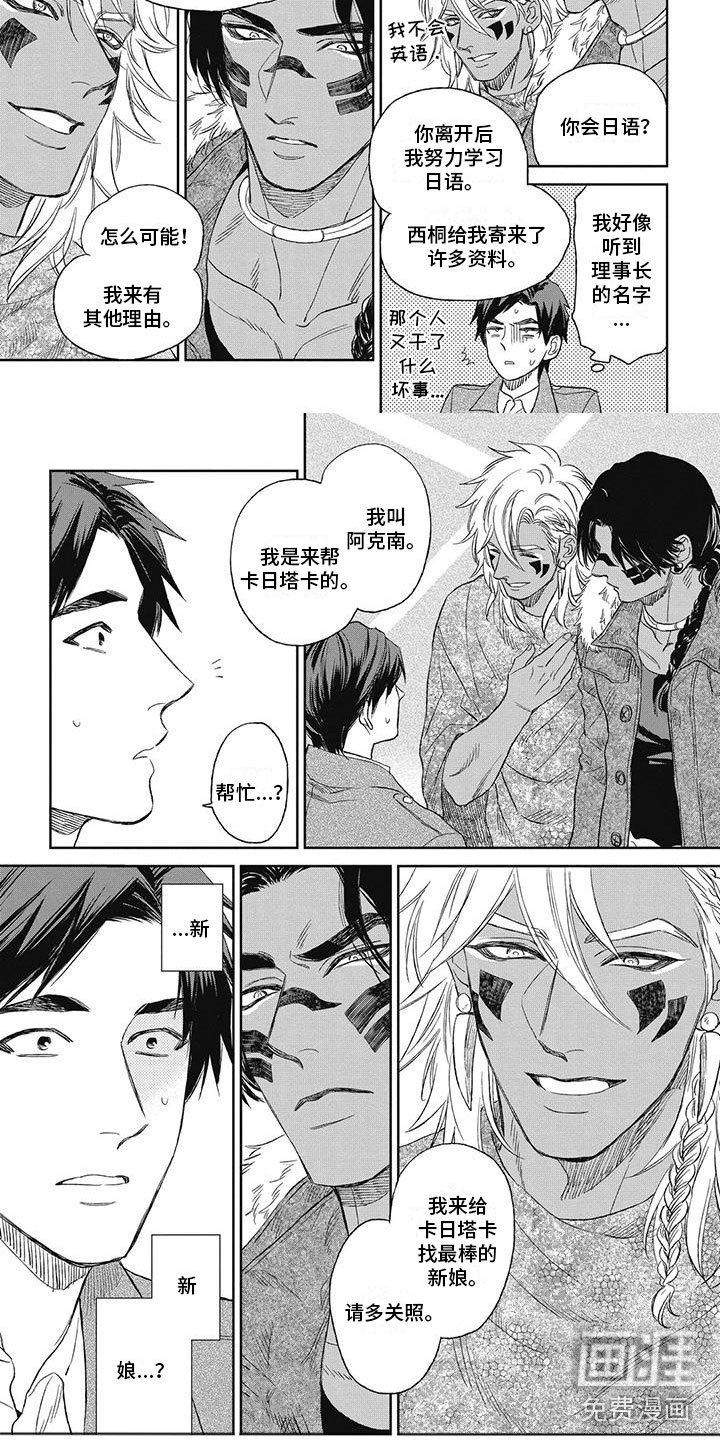 第14章：来找新娘