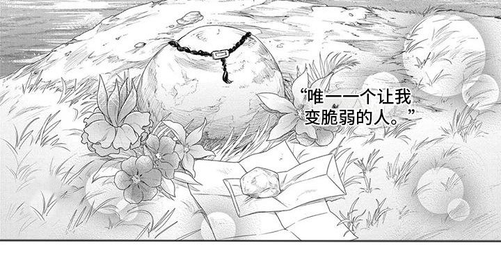第56章：强大与脆弱