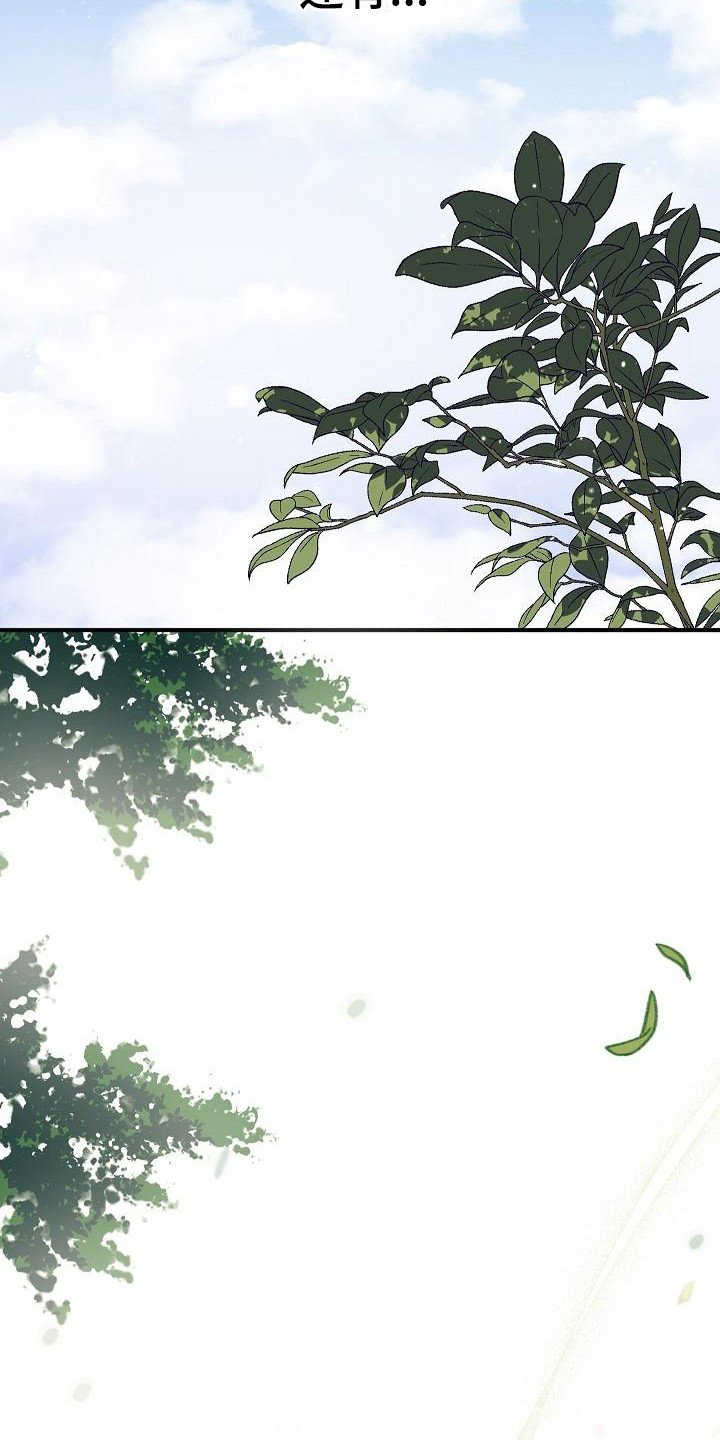 第1章：神奇力量