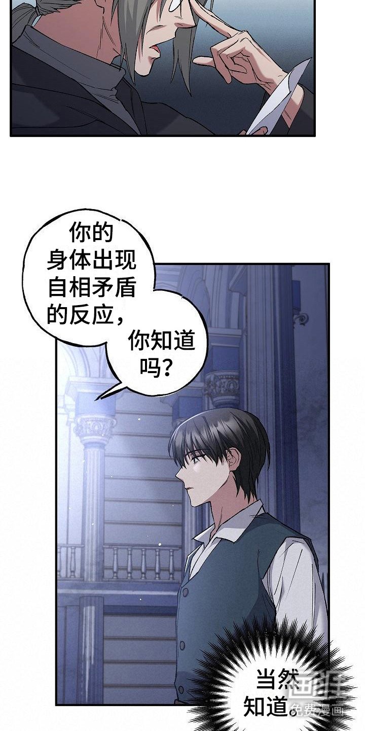 第11章：展示能力