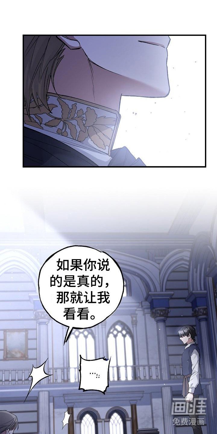 第11章：展示能力
