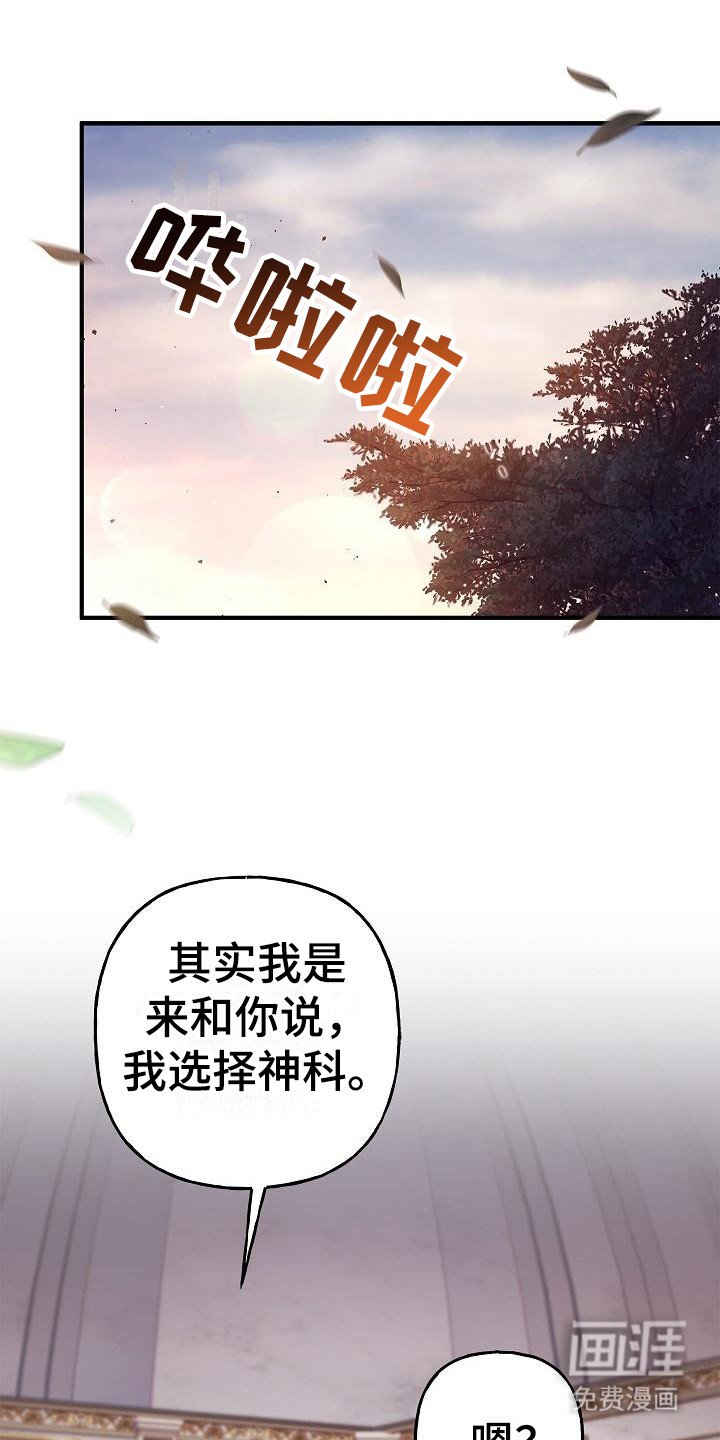 第19章：选择