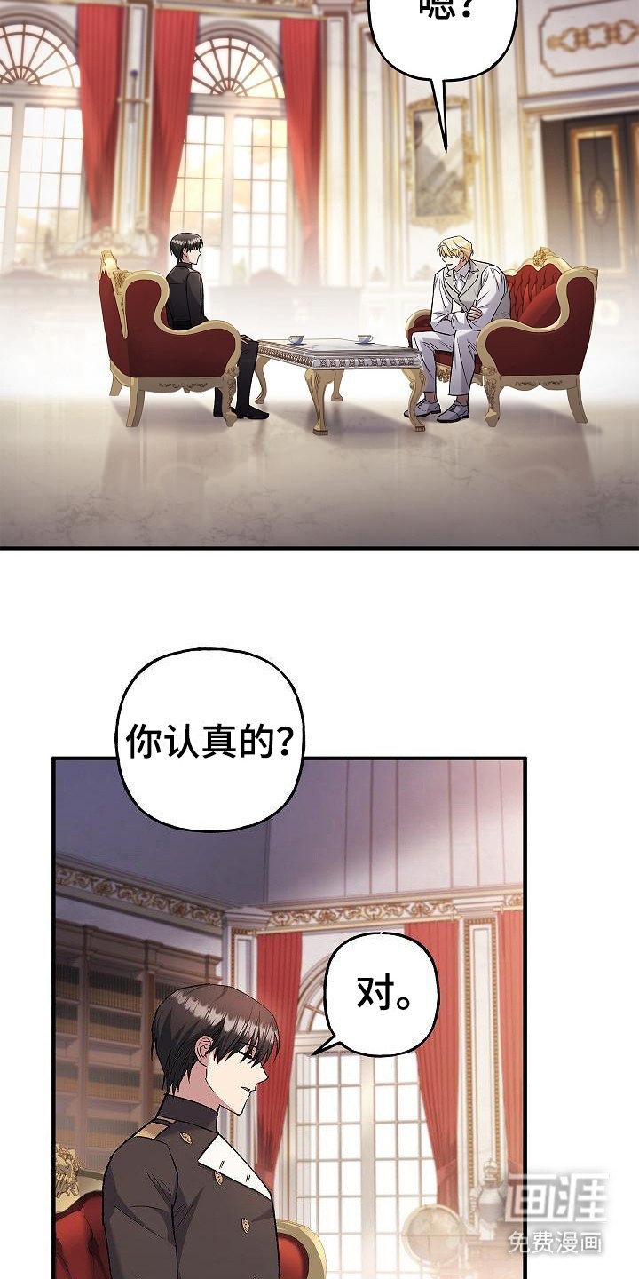 第19章：选择
