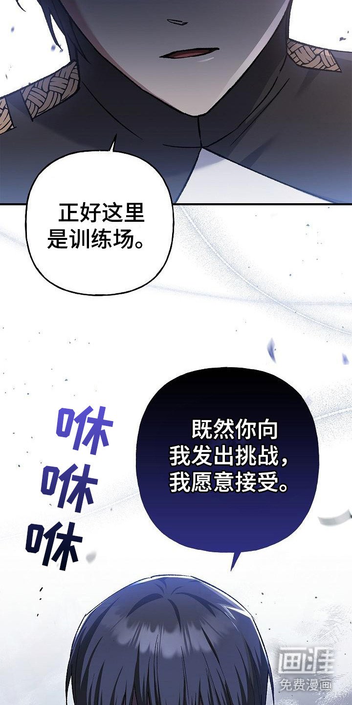 第24章：发出挑战
