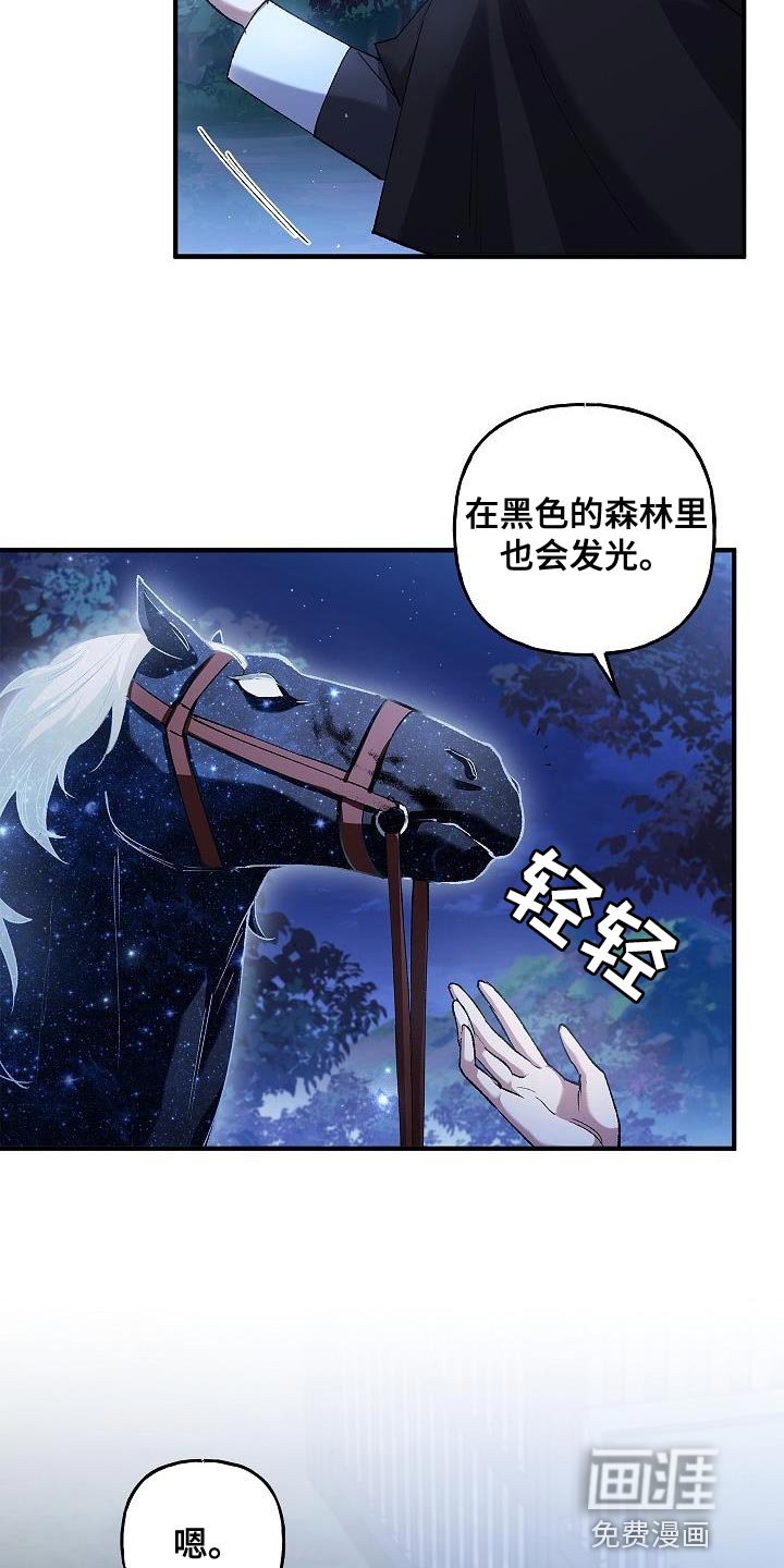 第37章：相同的问题