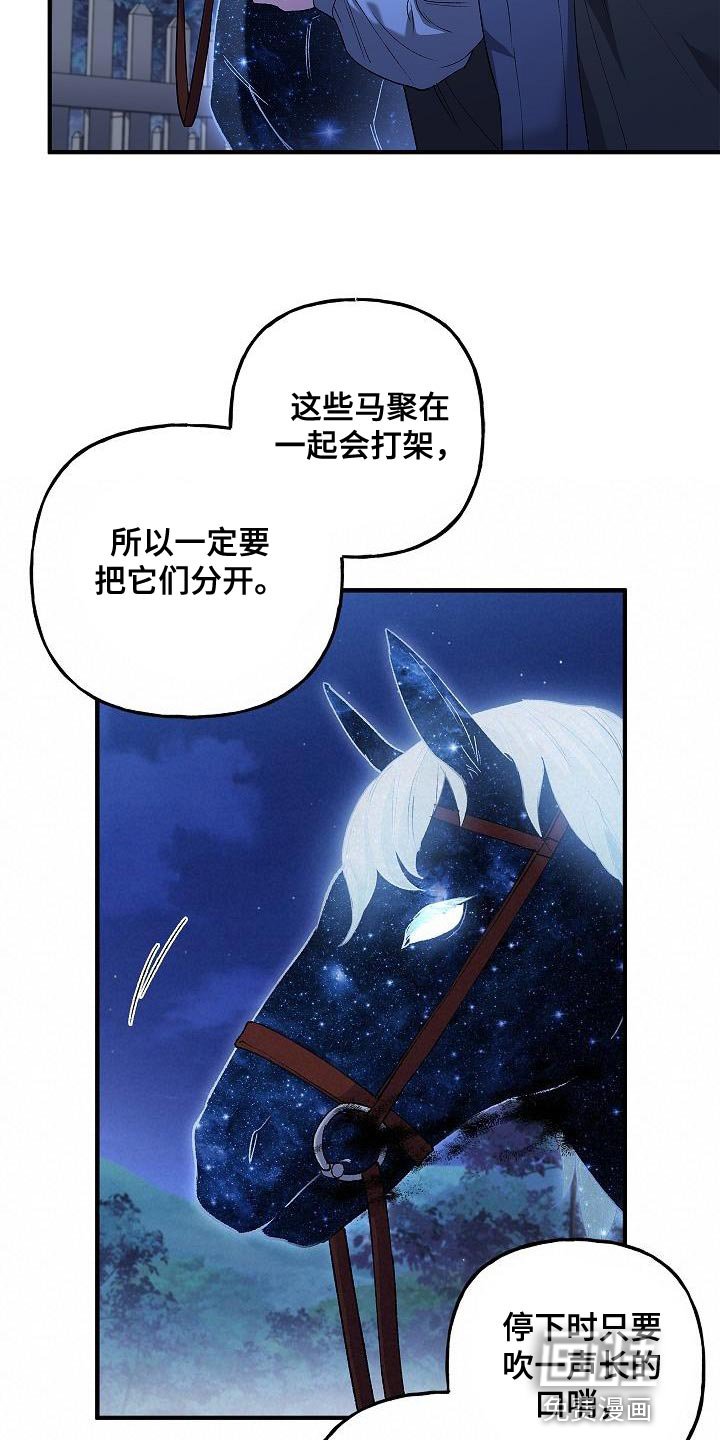 第37章：相同的问题