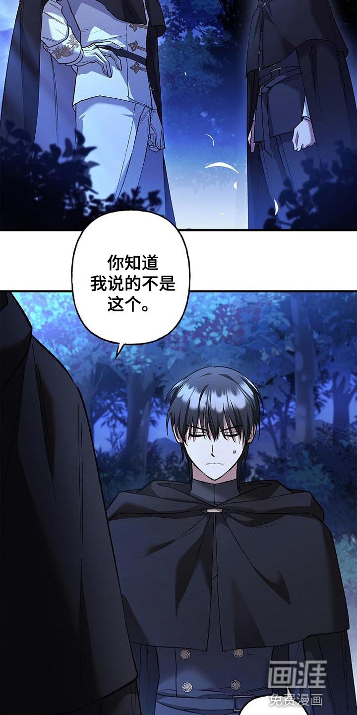 第39章：比较