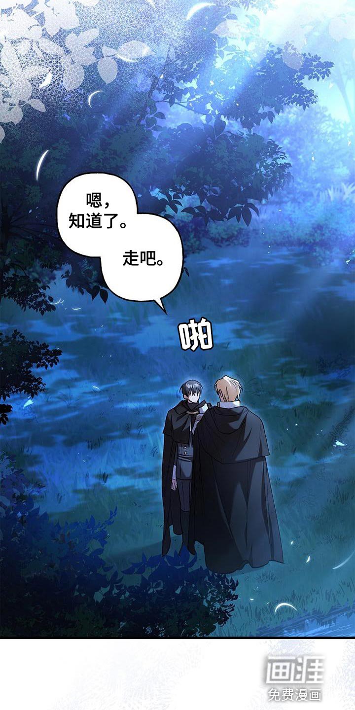 第39章：比较