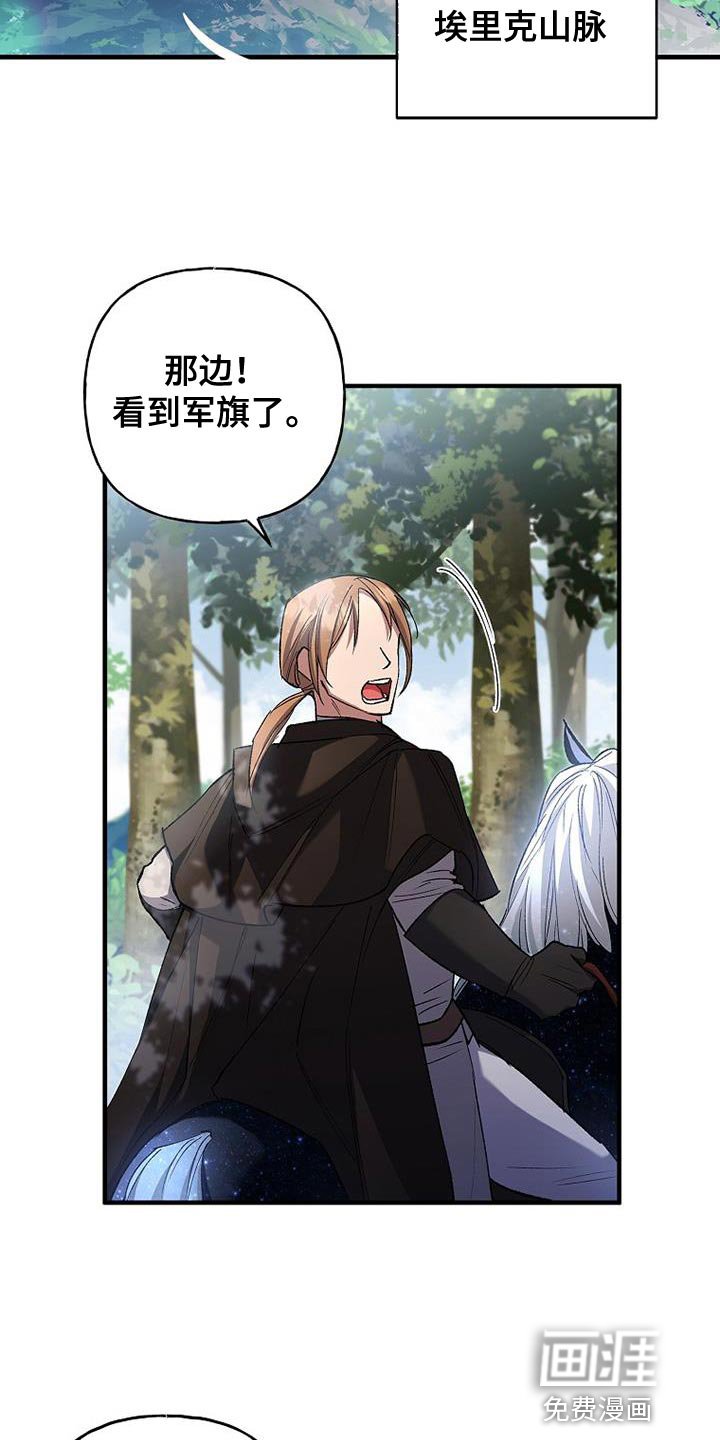 第39章：比较
