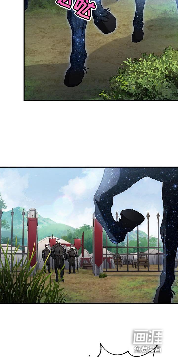 第39章：比较