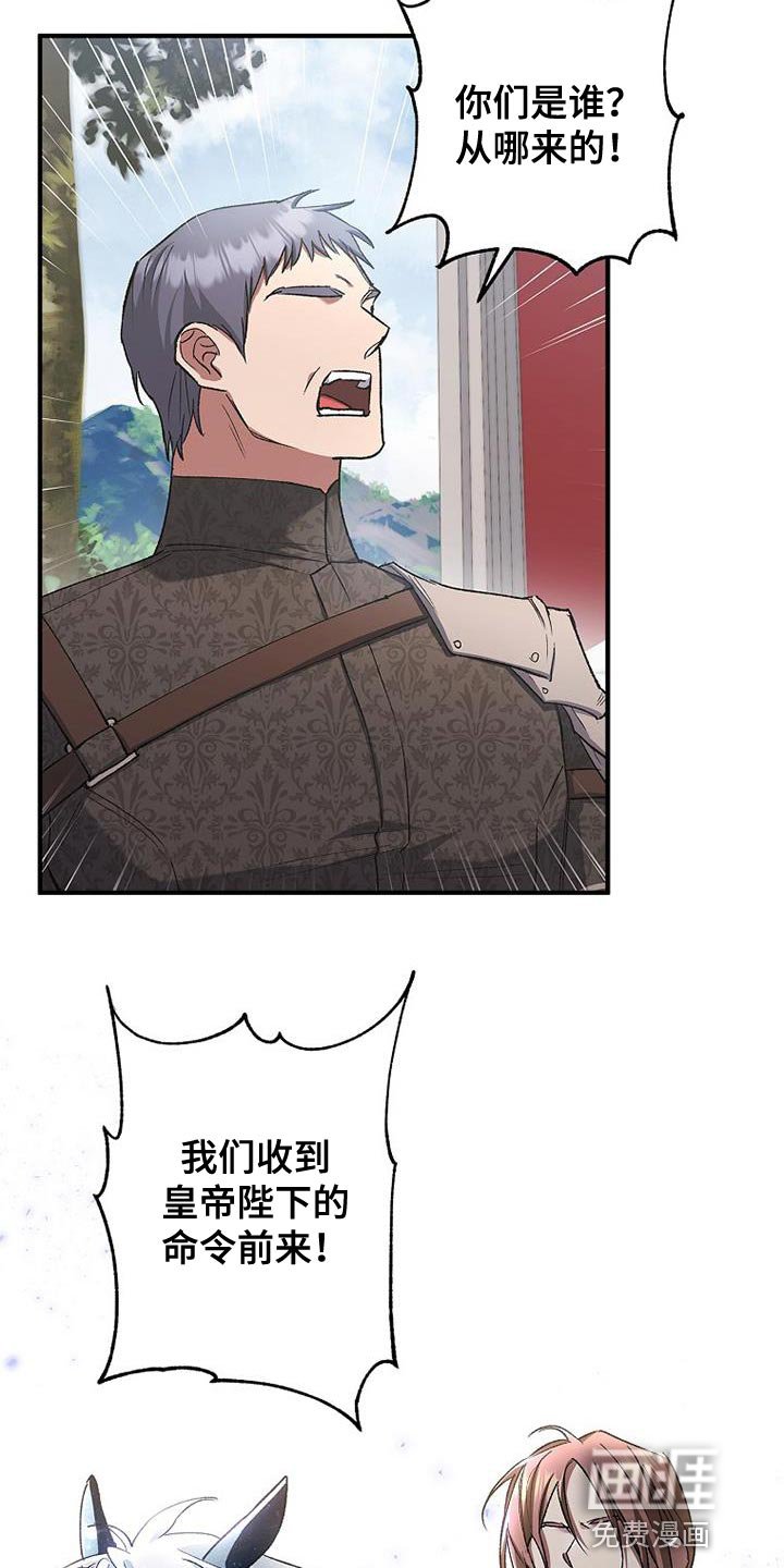第39章：比较
