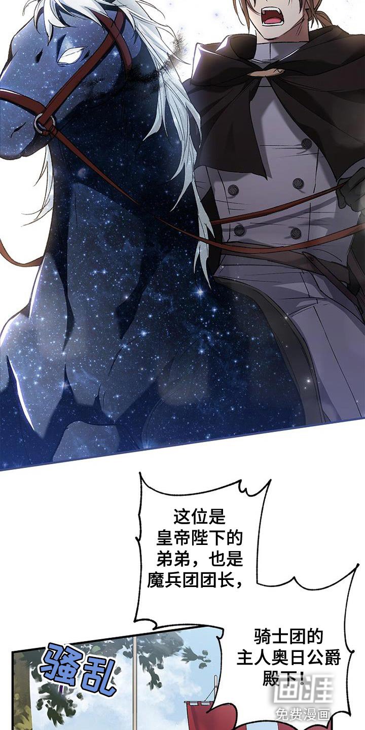 第39章：比较