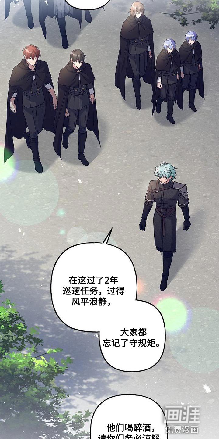 第42章：透视