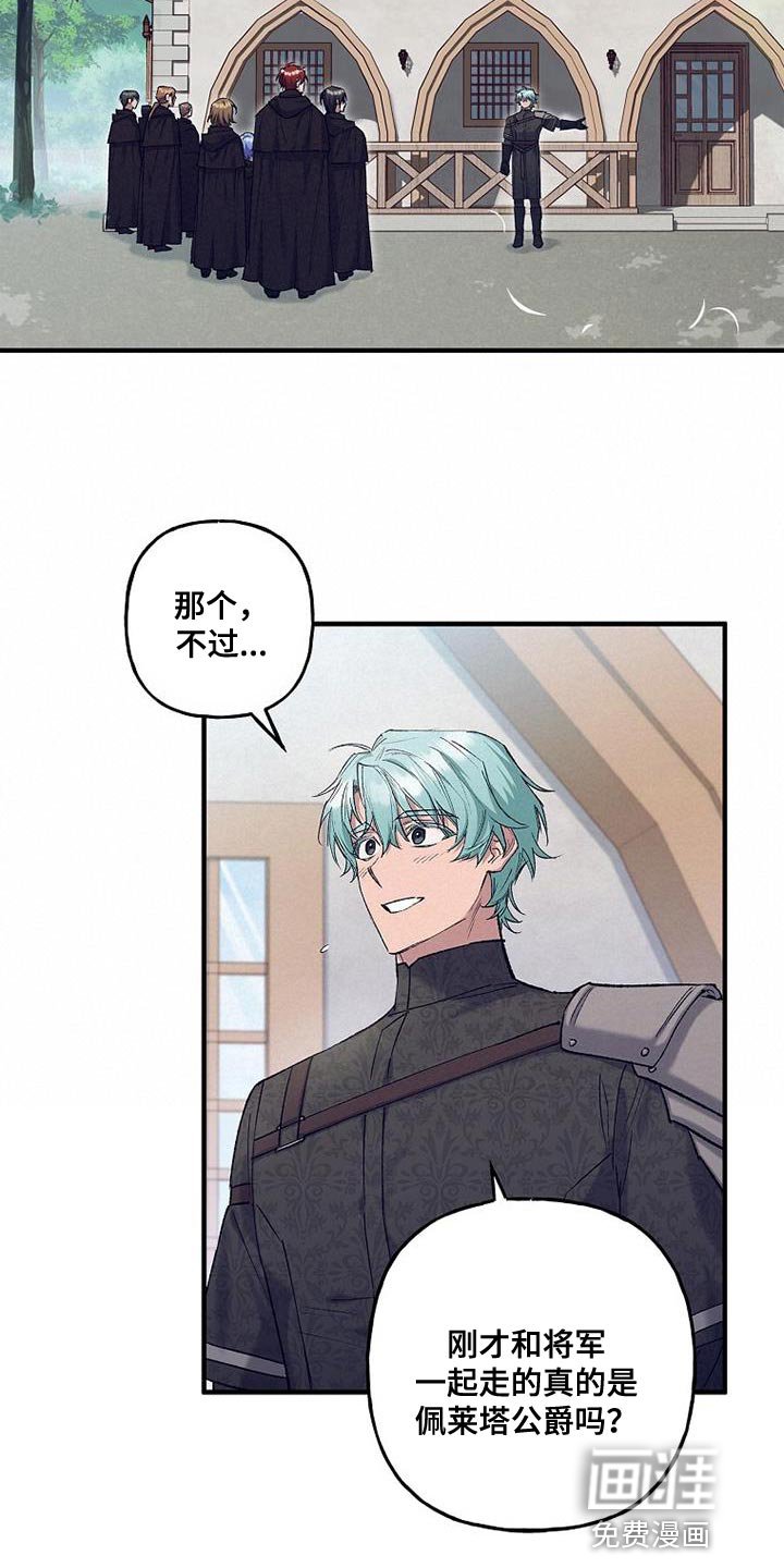 第42章：透视