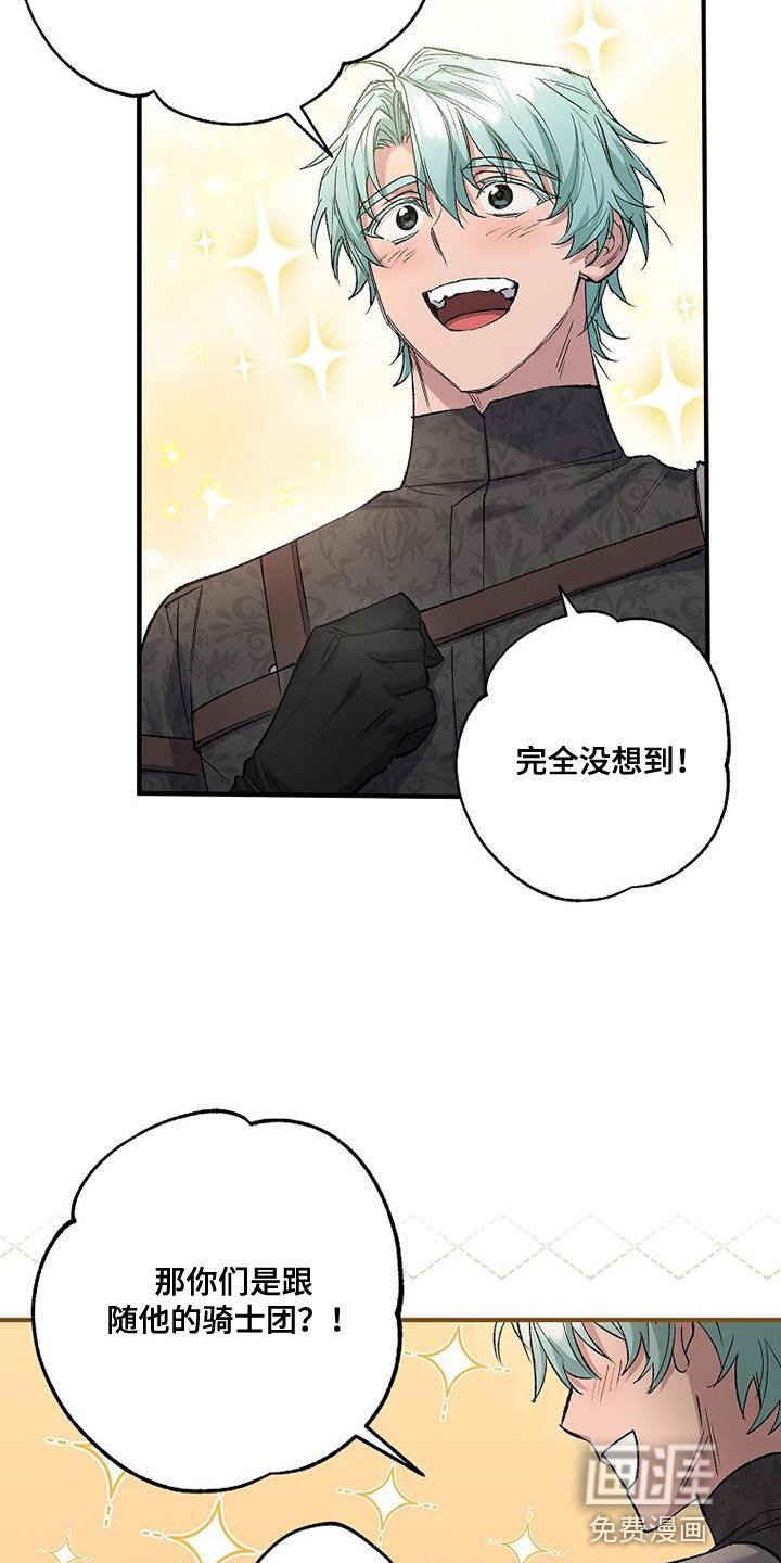 第42章：透视