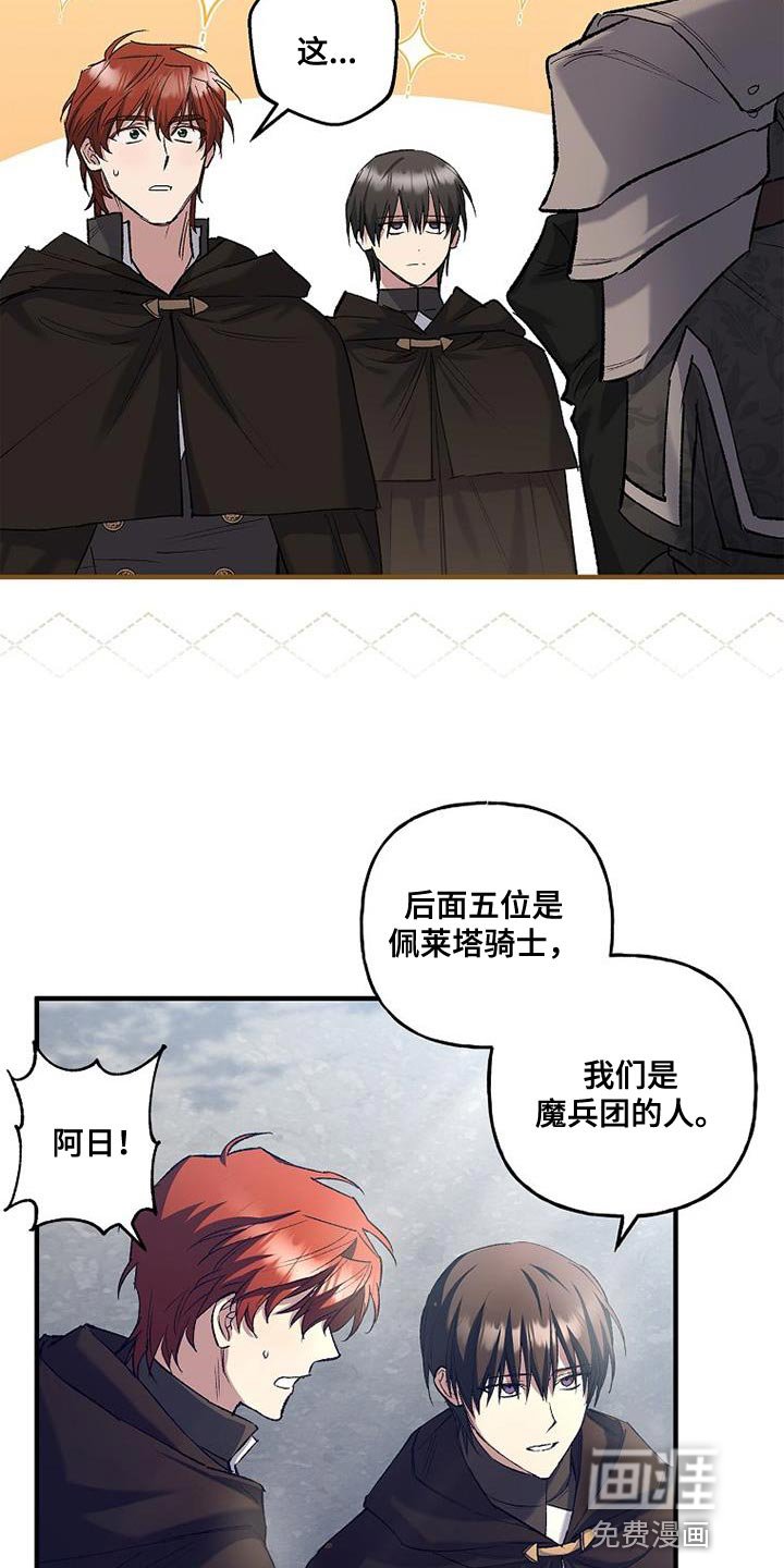 第42章：透视